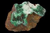 Quartz Crystals on Atacamite - Peru #132362-2